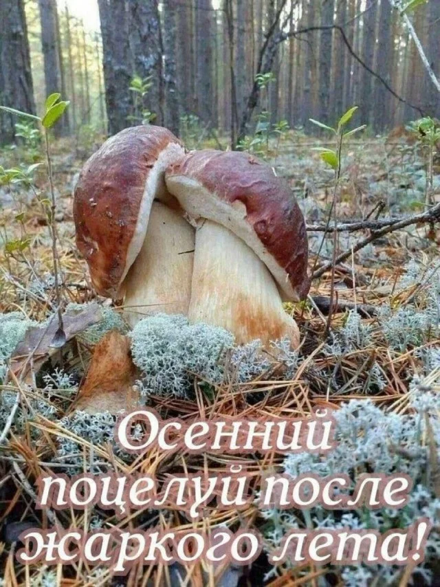 Легкая мемная деградация