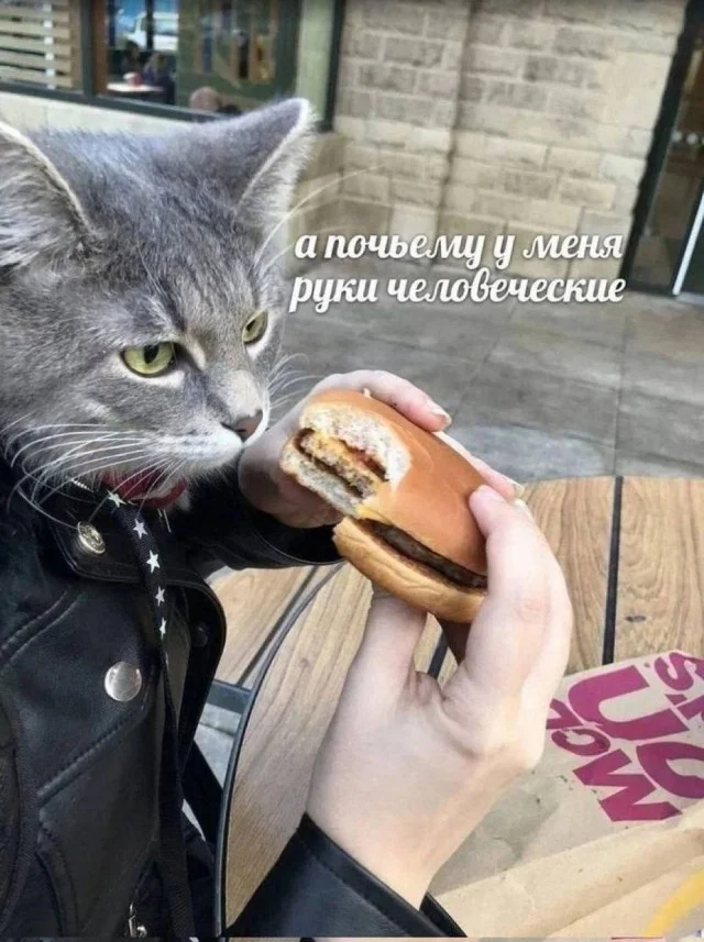 Легкая мемная деградация