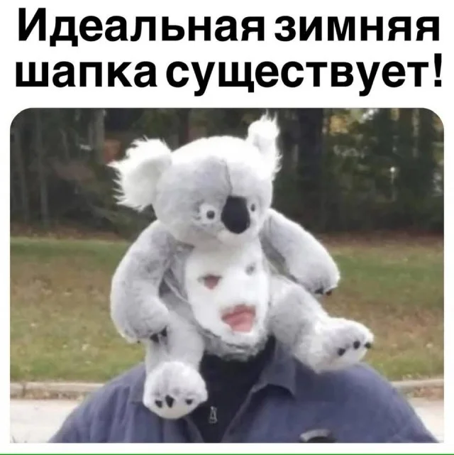 Мемы заказывали?