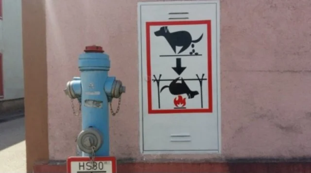 Мемы - это хорошо