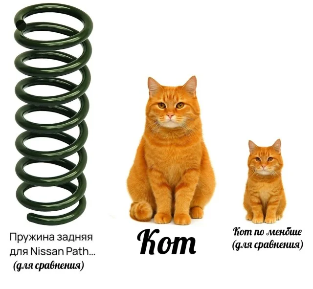 Мема-градия в баянах