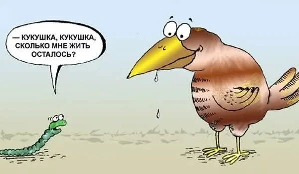 Ржачно в мемах