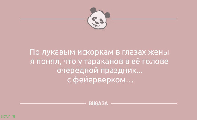Анекдоты свежие: «По лукавым искоркам в глазах…» 