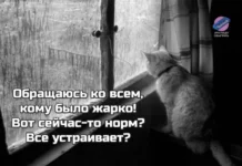 Осенний юмор: подборка шуток