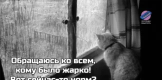 Осенний юмор: подборка шуток