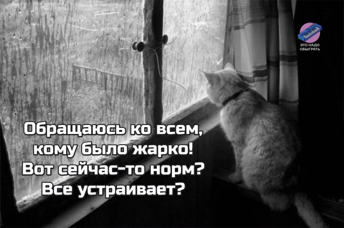 Осенний юмор: подборка шуток Осенний юмор: подборка шуток