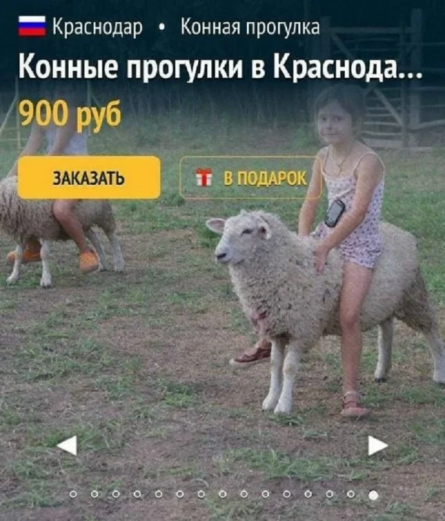 Плохое настроение? Держи мемы!