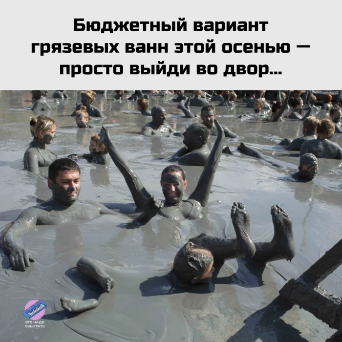 Осенний юмор: подборка шуток Осенний юмор: подборка шуток