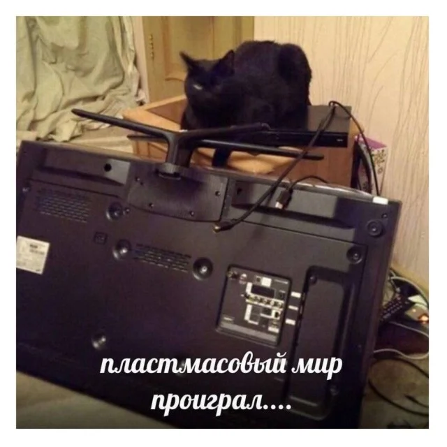 Ну прям свежие мемы