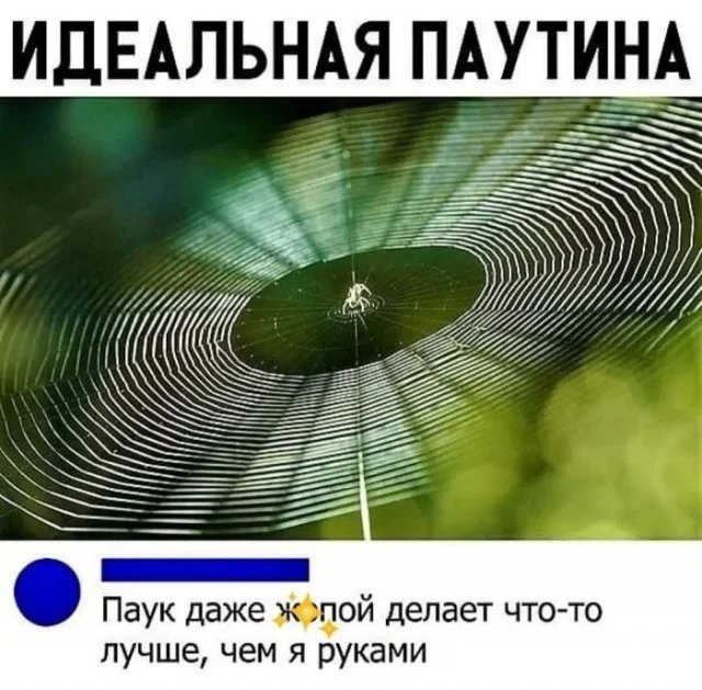 Свежая деградация в мемах