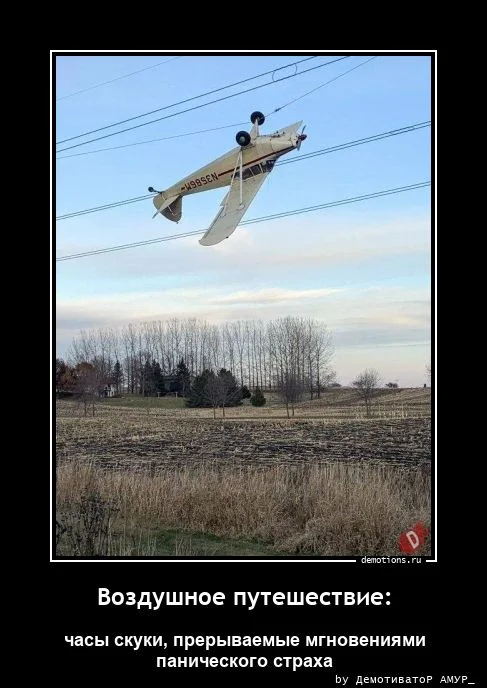 Свежая порция демотиваторов — иронично, жизненно и с сарказмом