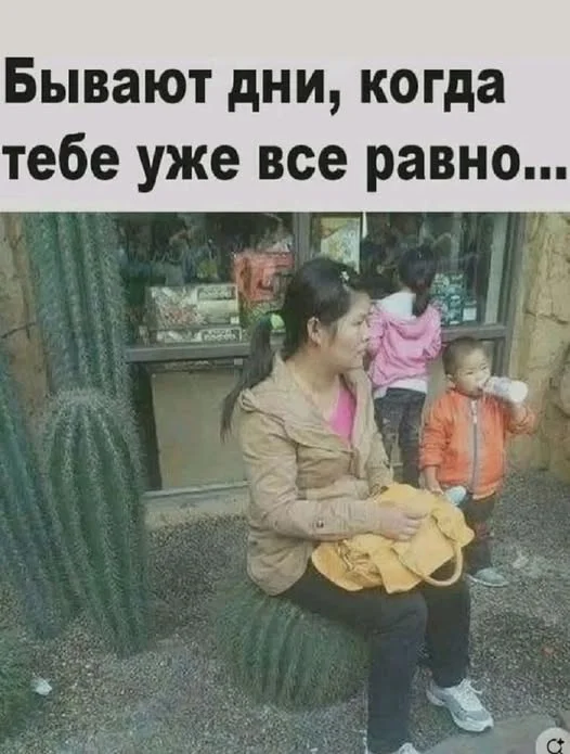 Мемные баяны #1