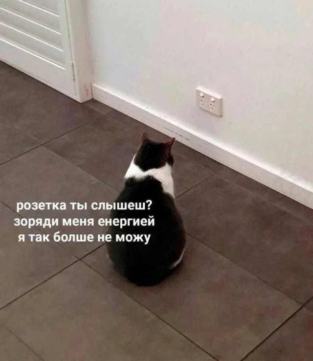 Мема-градия в баянах