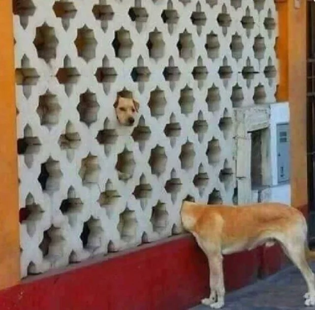 Кайфовые мемы