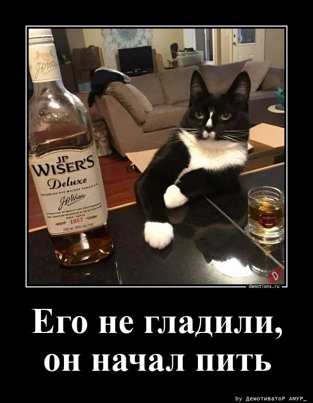 Свежая порция демотиваторов — иронично, жизненно и с сарказмом