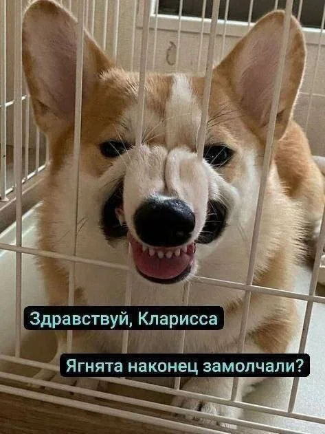 Мемы про кино: как изменятся фильмы в будущем и как выглядят герои «Очень странных дел» тогда и сейчас Мемы про кино: как изменятся фильмы в будущем и как выглядят герои «Очень странных дел» тогда и сейчас