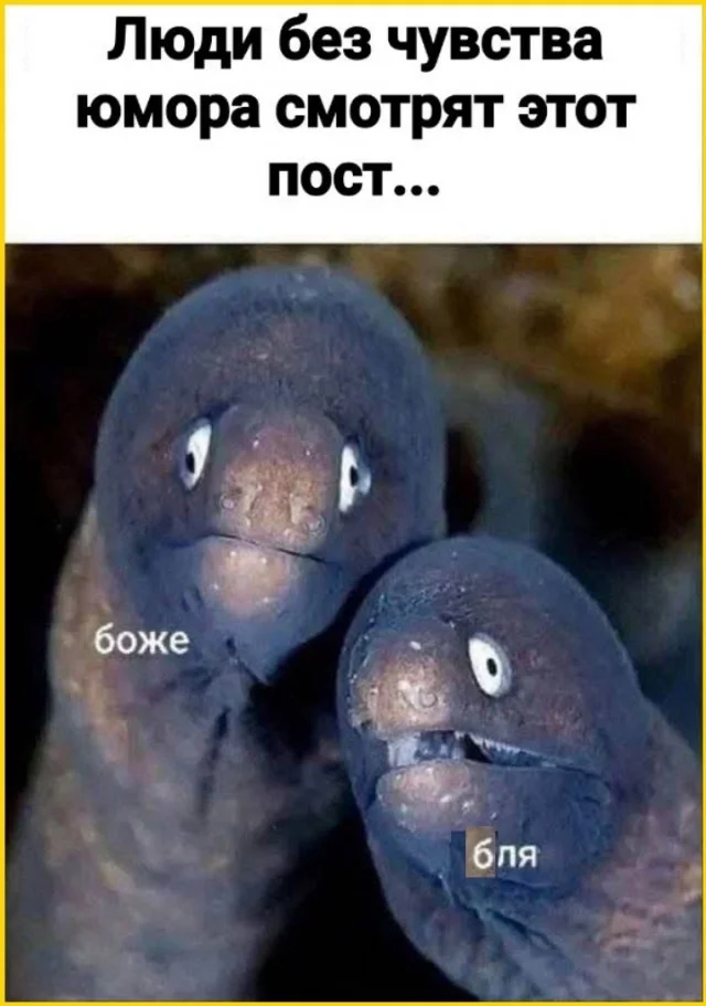 Кайф! Картинки!