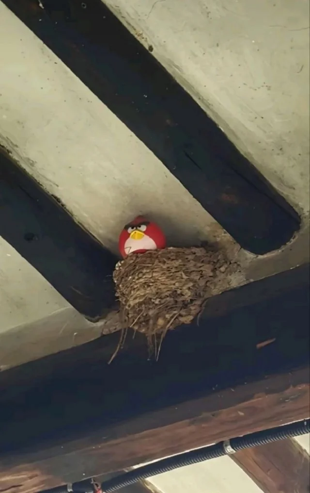 Обожаю мемы!