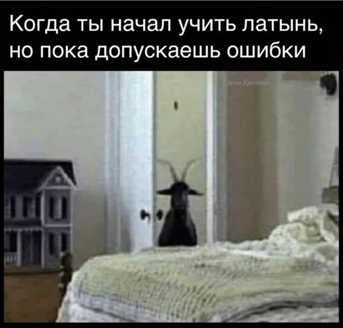 Про зверей и людей