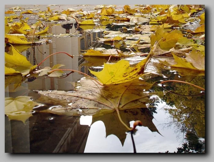 Прикольные и просто красивые картинки