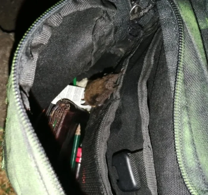 17 неудачников дня, которым судьба явно подкинула проблем 17 неудачников дня, которым судьба явно подкинула проблем