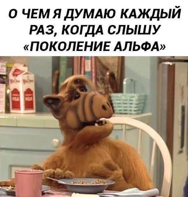 Юмор. Наверное.