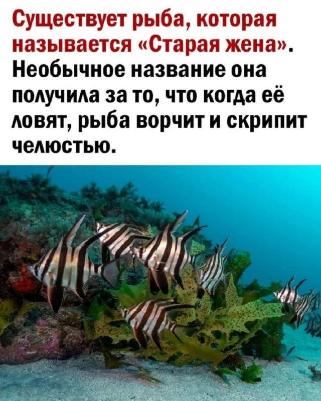 Начнем день с мемов