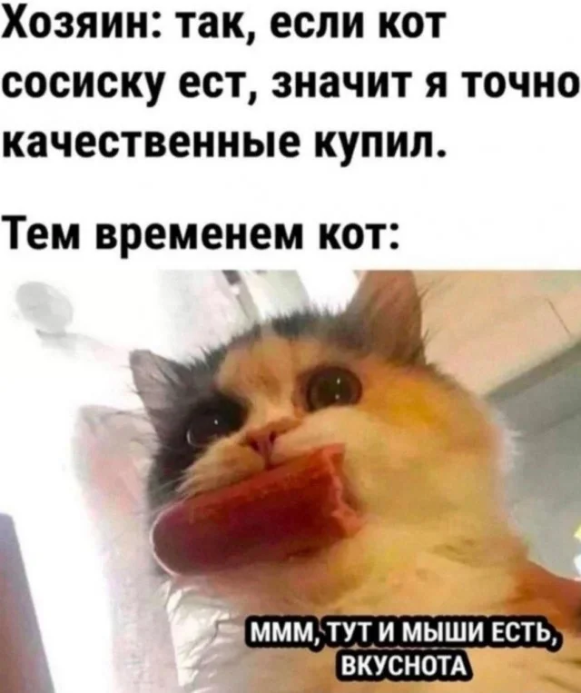 Деграднем с мемами