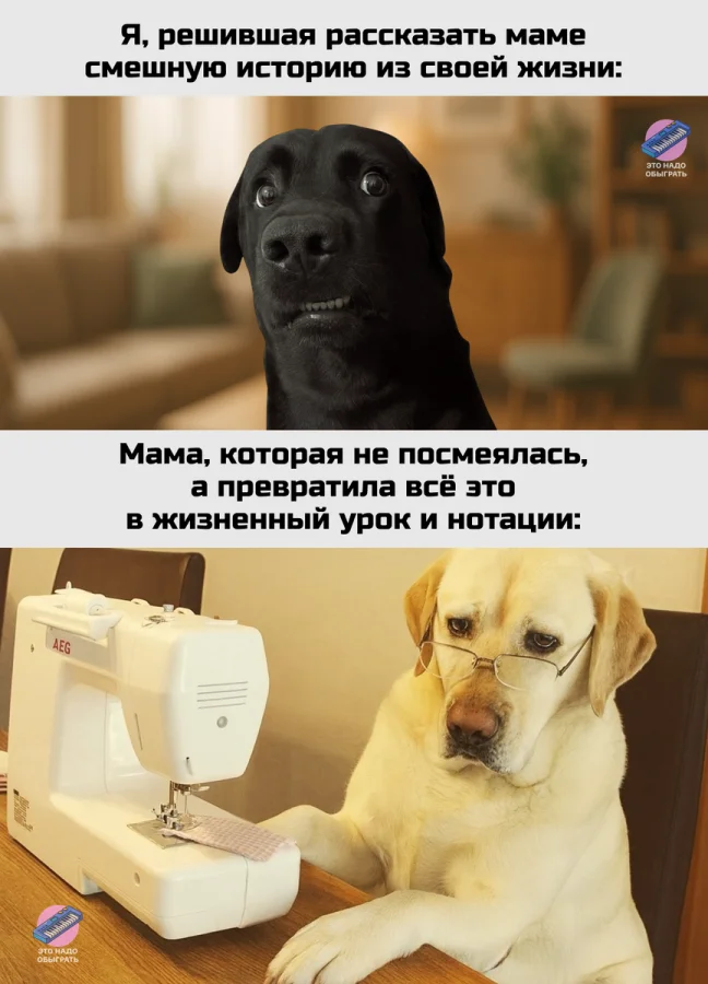 Юмор про мам, бабушек и дом: подборка, в которой узнает себя каждый Юмор про мам, бабушек и дом: подборка, в которой узнает себя каждый