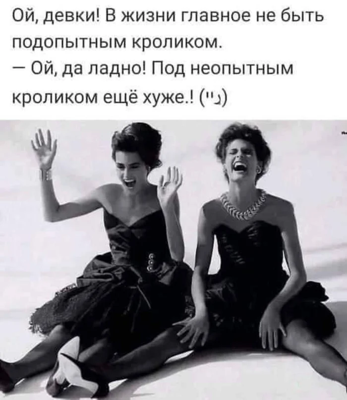 Прикольные и просто красивые картинки