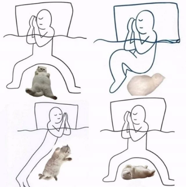 Мема-градия в баянах