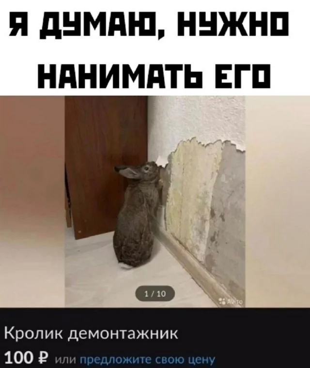 Получается мемы подвезли