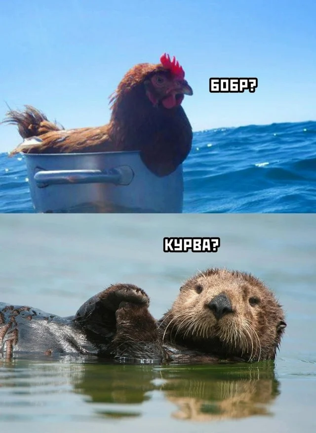 Классное настроение в мемах