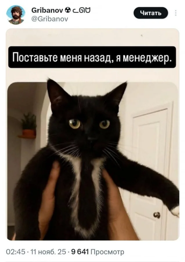 Мемо-деградация