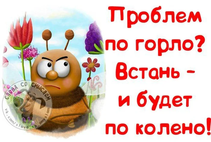 Прикольные и просто красивые картинки