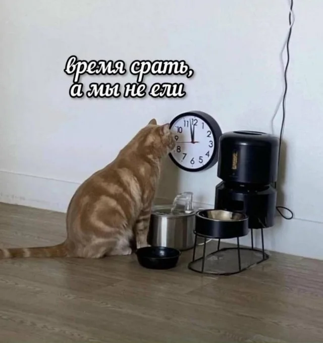 Легкая мемная деградация