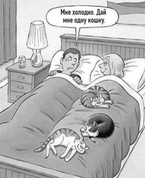 Деграднем с мемами