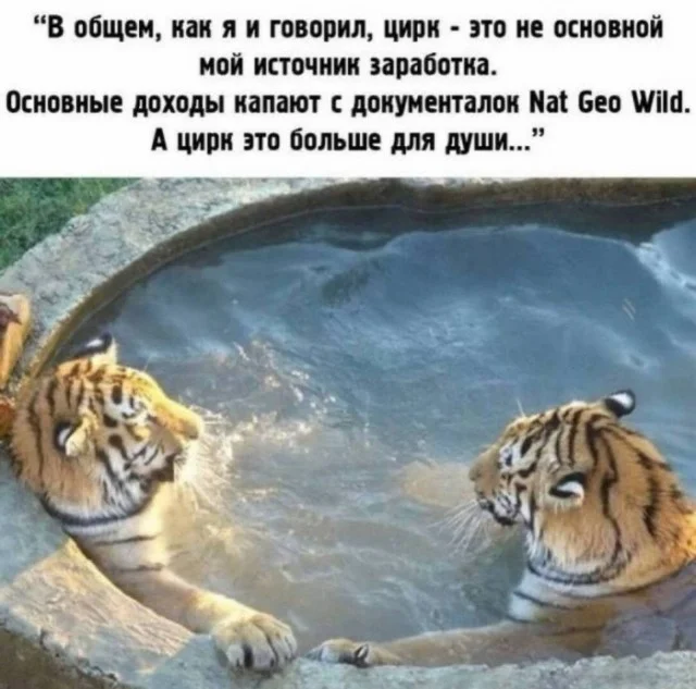 Мемы для настроения