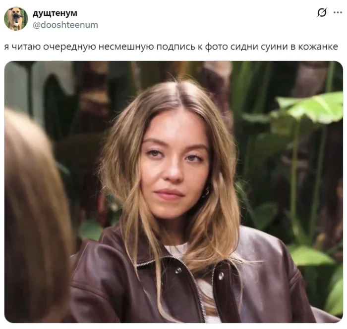 Как один взгляд Сидни Суини превратился в мем и заставил хейтеров замолчать Как один взгляд Сидни Суини превратился в мем и заставил хейтеров замолчать