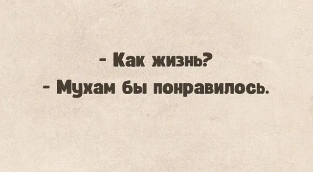 Мемы с текстом