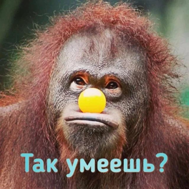 Мемы с кайфом