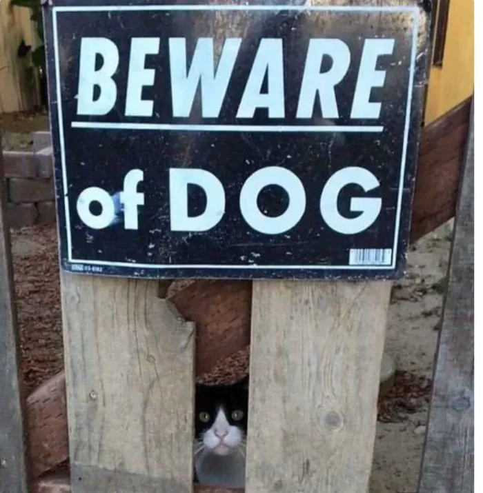 16 смешных ситуаций, когда таблички обещали одно, а происходило совсем другое 16 смешных ситуаций, когда таблички обещали одно, а происходило совсем другое