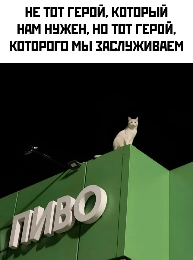Ну прям свежие мемы