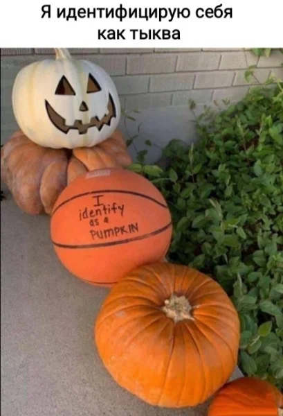 Разнообразные мемы