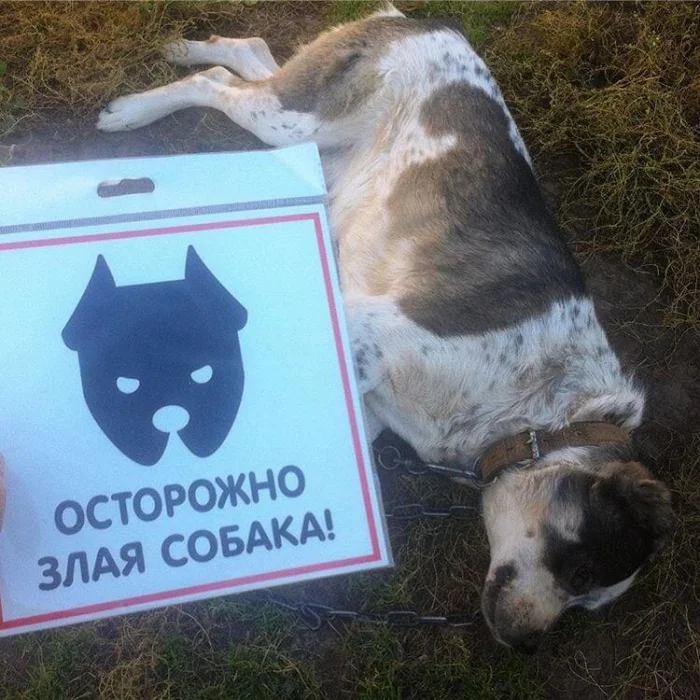 16 смешных ситуаций, когда таблички обещали одно, а происходило совсем другое 16 смешных ситуаций, когда таблички обещали одно, а происходило совсем другое