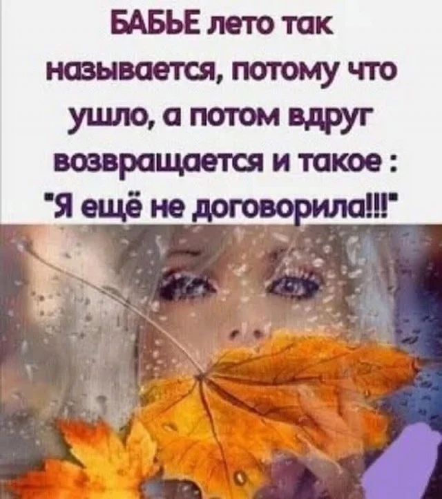 Просроченные мемы