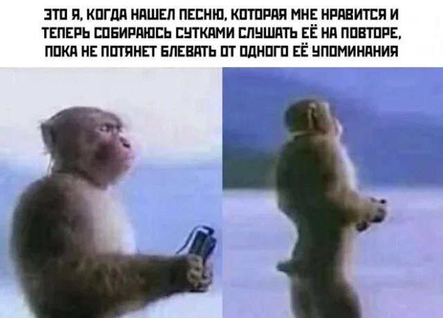 Свежая деградация в мемах