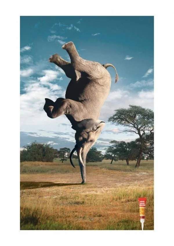 Юмор в рекламе: подборка самых удачных примеров Юмор в рекламе: подборка самых удачных примеров