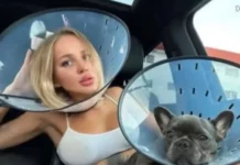 Про зверей и людей