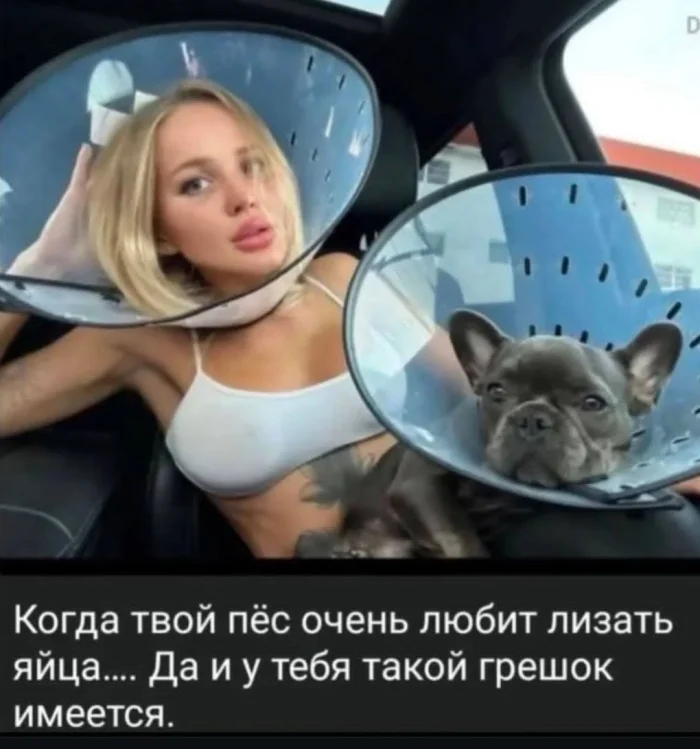 Про зверей и людей